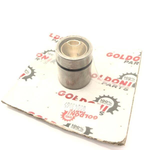 GOLDONI – CILINDRETTO FRENO GOLDONI QUASAR – 00043065 FG0043065 KIT DE PISTON RÉF. FG0043065 POUR JOHN DEERE ΚΥΛΙΝΔΡΑΚΙ ΦΡΕΝΩΝ Q85
