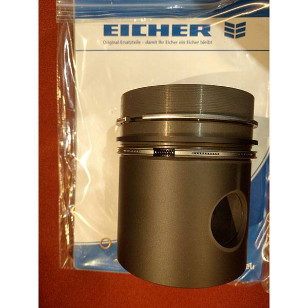 3190863Μ1 Πιστόνι Eicher 100mm
