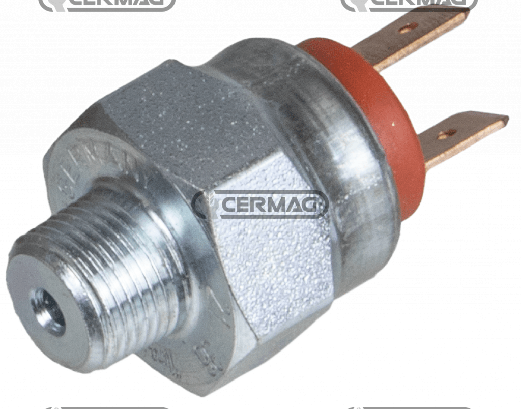 3145937R1 Βαλβίδα λαδιού φρένων  Μ12Χ1