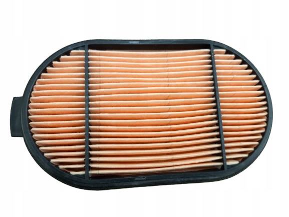 P61-5493 ΦΙΛΤΡΟ ΑΕΡΟΣ SAME DEUTZ	0.900.1625.9, 11529670, 090016259